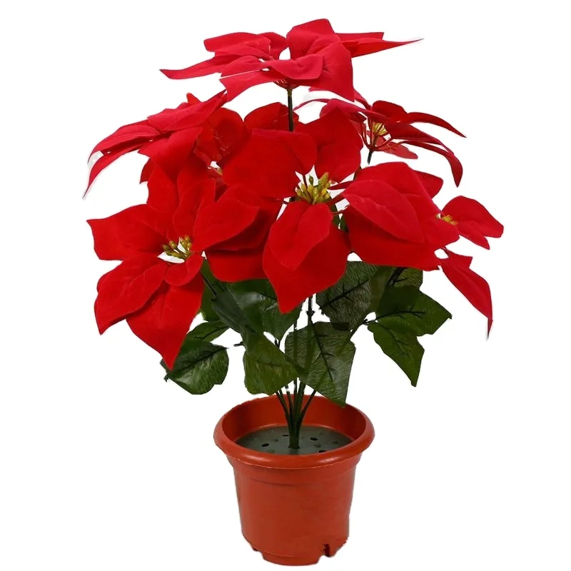 Wholesale High Quality Real Feel Artificial Poinsettia Flower For Home  Decoration - Buy Artificial Poinsettia Flower,Artificial Poinsettia Flower  For Home Decoration,Wholesale Artificial Poinsettia Flower Product on  