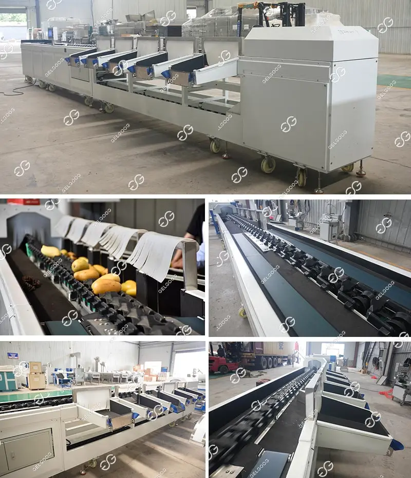Small Automatic Apple Grading and Sorting Machine Price