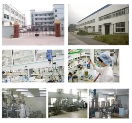 Changsha Beauty Cosmetics Co., Ltd.