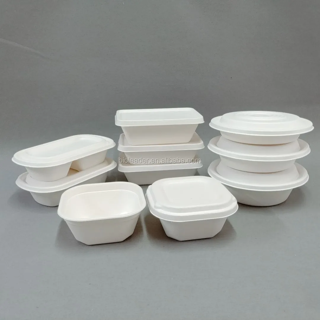 Biodegradable Sugarcane Bagasse 6x6 Inch Burger Box with Lid - Eco ...