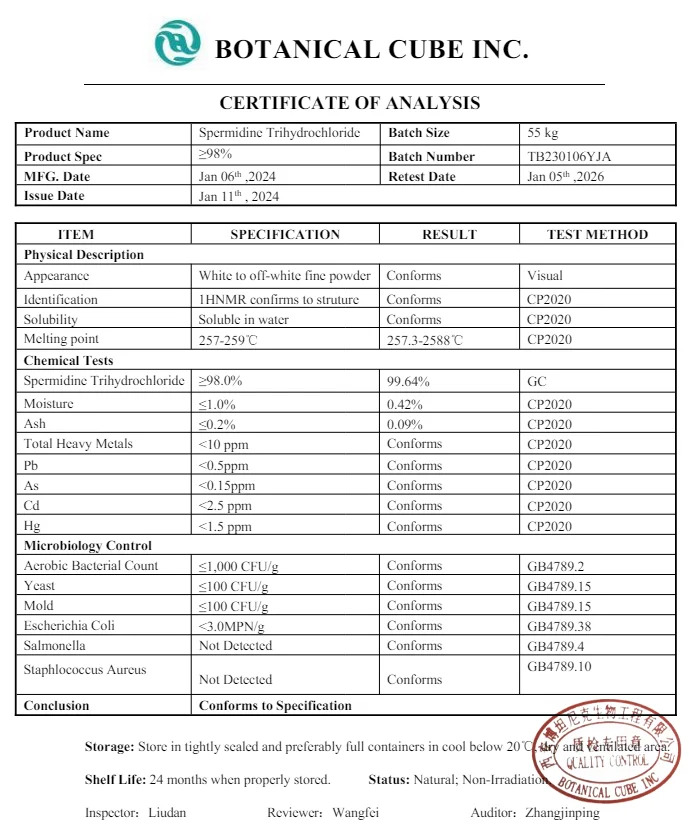 B.C.I SUPPLY Pure Natural Berberine HCL Top Level Coptis Chinensis Extract Berberine Powder Hcl 98%