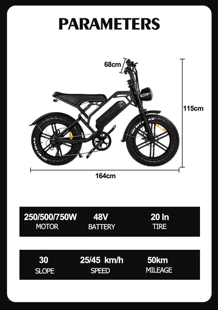 EU Electric Bike Wholesale Mountain Fatbike Eu Cheap 20inch Fat Tire Ebike Electric Bike Factory