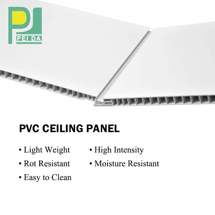 PVC Plastic False Ceiling Design for Hall to Algeria