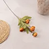 One caramel branch