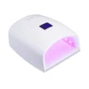 White+Pink Light