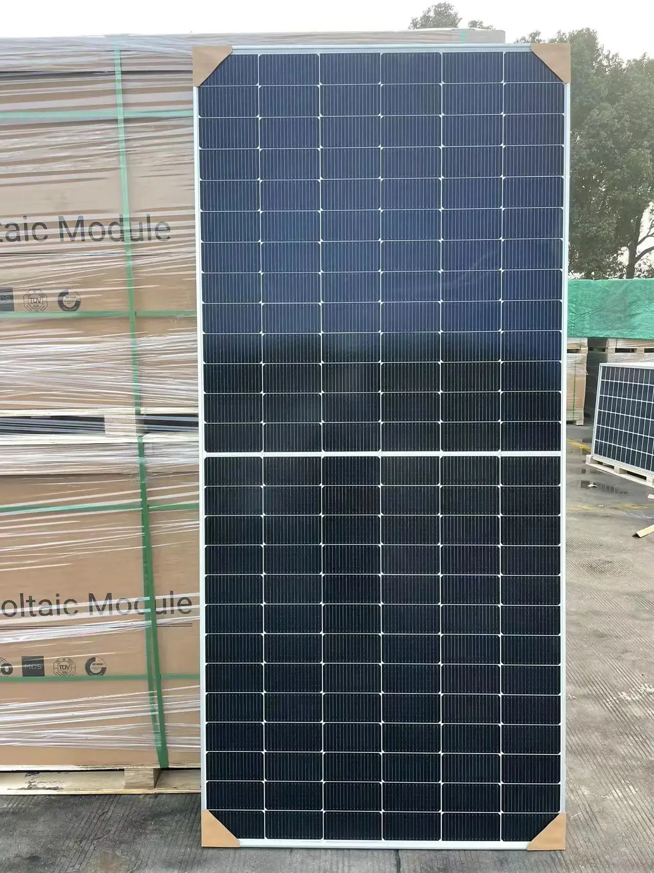 DMEGC Bifacial Solar Panels - High Efficiency & Durability