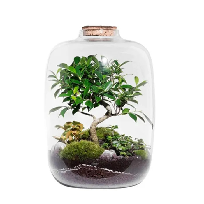 New Design Custom Made Hand-blown Clear Glass DIY Terrarium Bottle for Indoor Gardening With Cork Lid