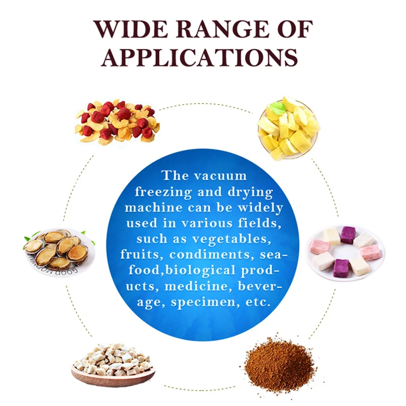 TCA Automatic Coffee Lyophilizer Vegetable Food Vacuum Freeze Dryer Production Line