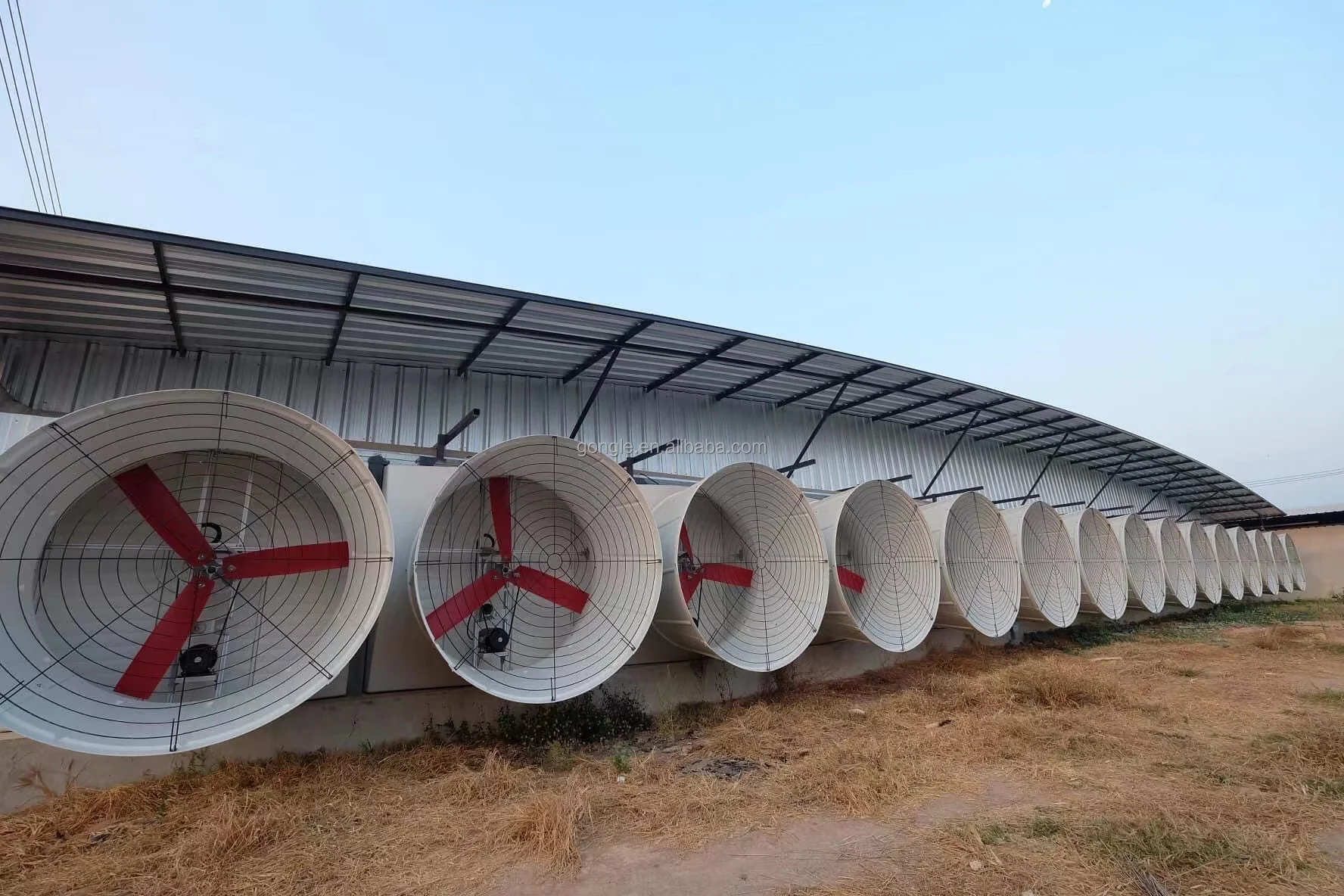 Poultry Equipment Fan Butterfly Cone Fan/wall Mounted Exhaust Fan with ...