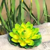 Green Eva lotus flower [leaves approximately 18cm]