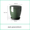 10inch dark green