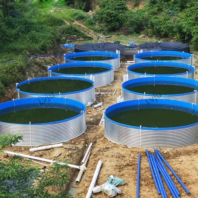 biofloc fish farming accessories Tilapia Farming Biofloc Fish Farming Instruments LVJU Aquaculture Pond  Government Project Farm Fish Tanks Contractor Fisheries