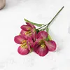 One magenta branch