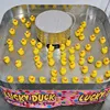 Juego de Carnaval Lucky Duck