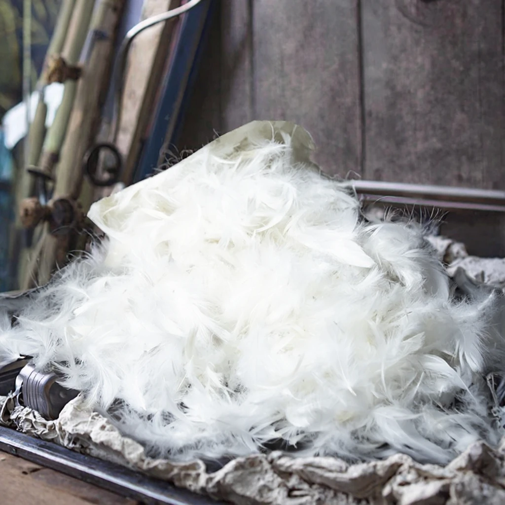 Washed Feather Filling For Cushion