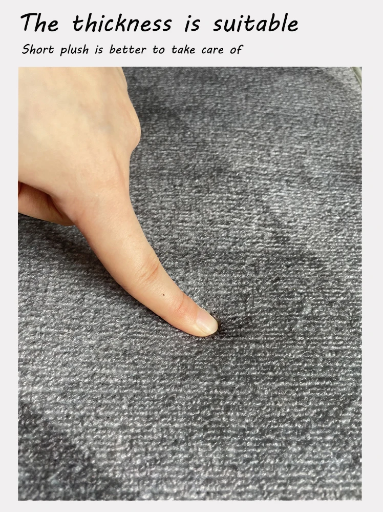 Nordic Style Simple Design Print Carpet Fluffy Carpets And Rugs Living