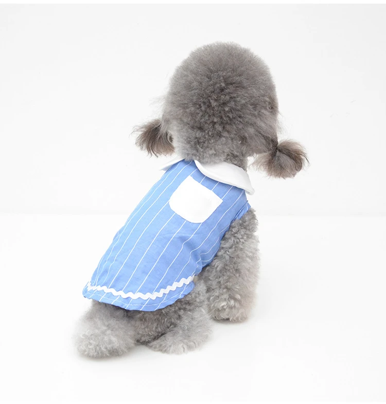 small dog designer clothes