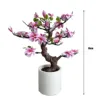 Rosa-70cm