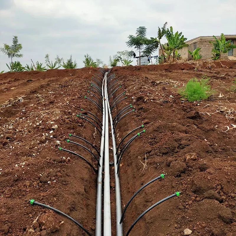 Taste Agriculture Irrigation System Free Design for HDPE Drip Tape Irrigation System Under Ground Valves Farmland Irrigation