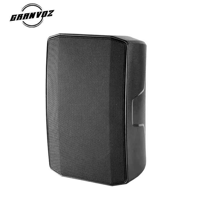 Professional New Mountable Midrange Two Way Slim Audio Fansion Style Wall Speaker
