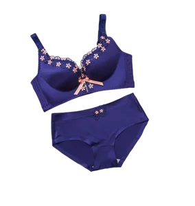 Cikini New Designer Push up Satin Seamless Bra Penty Set