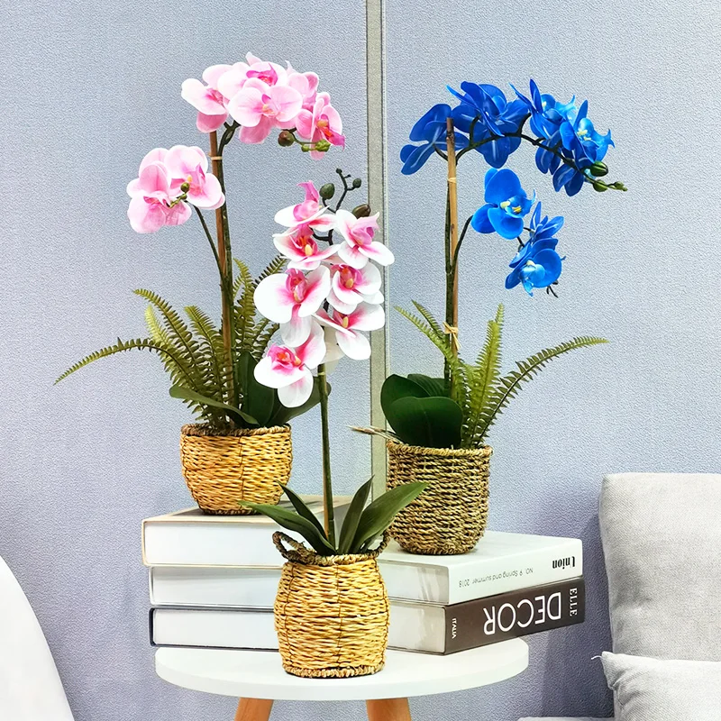 blumenkasten 50 cm breit JARDI 50 Anthrazit – Balkonkasten 50x17x17 cm 8 kg Naturschiefer Schwa –  CLIMAQUA
