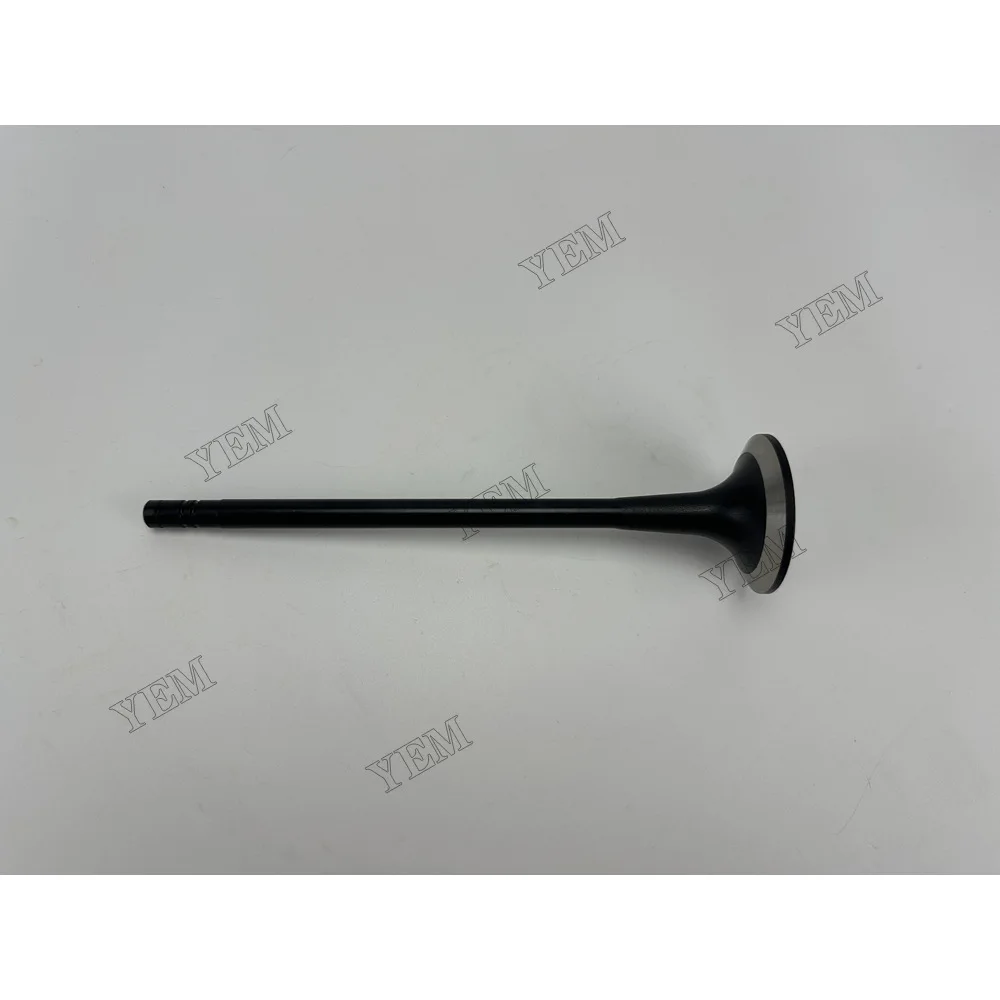 Intake Valve for Mitsubishi S12H Replacement Engine Parts 2