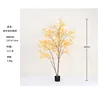 [Hot Selling] Yellow Multi-Stem Miniature Maple Tree 150cm