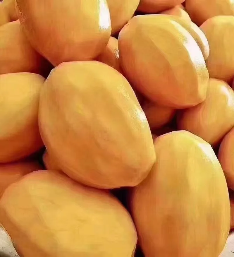 Bulk Freeze Dried Mango Chunks | Wholesale Supplier H6609a80234214b529d3171ecfffc0138t
