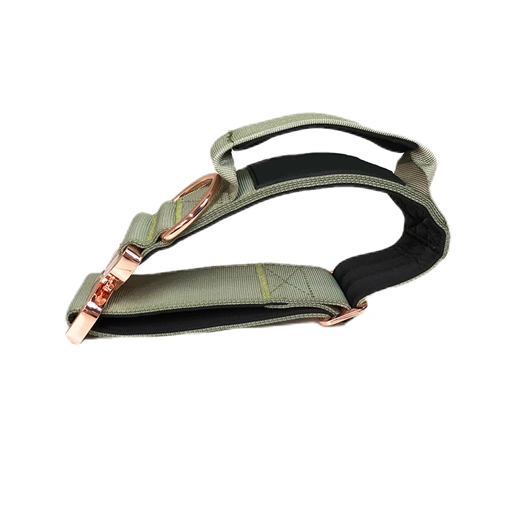 2 Inch Adjustable Tactical Dog Collar With Handle And Metal Buckle