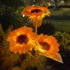 3 sunflowers