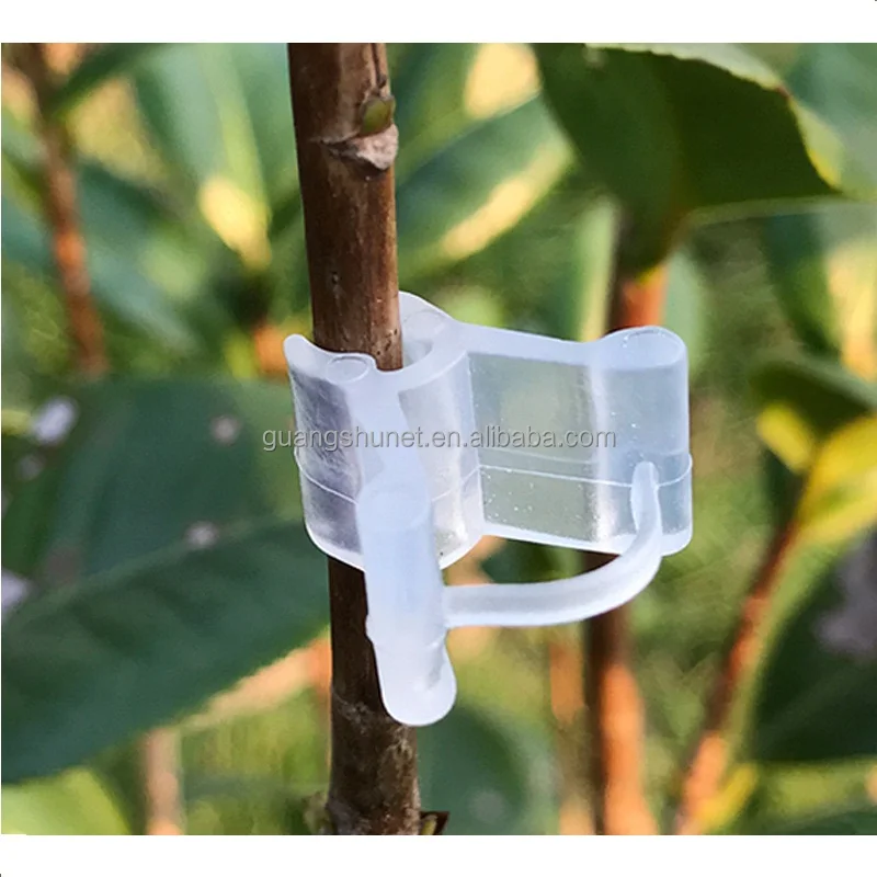 Support Clips Vines Grow Upright Tool Plant Leaf Fixing Clips for Climbing  Plants