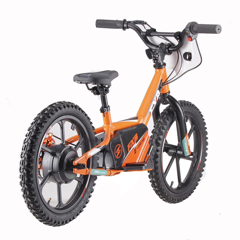 FXB batteria rimovibile 5000MHA bicicletta elettrica da 16 pollici