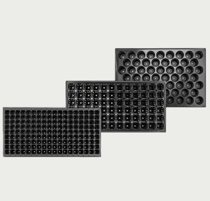 Factory Wholesale Various Black Plug Plant Seed Trays,Seedling Nursery Tray Buy Plug Plant