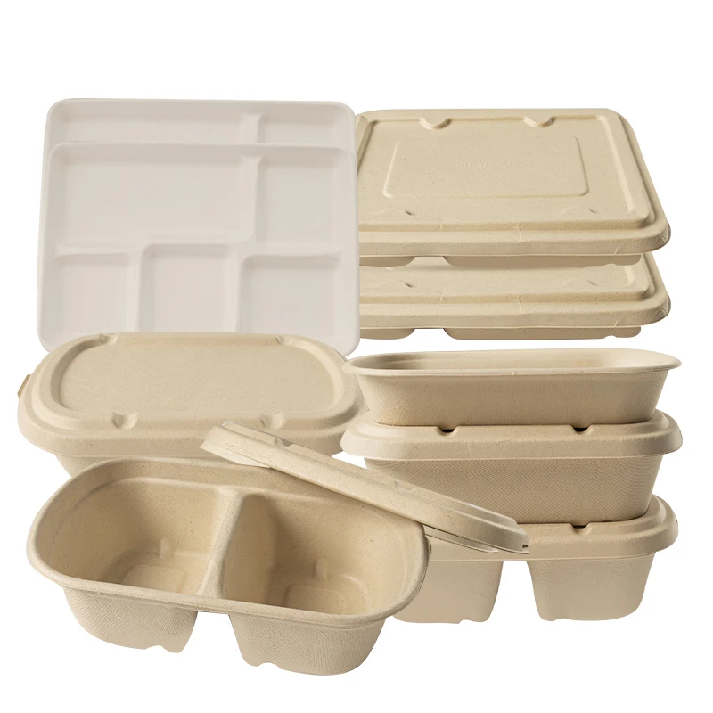 Поднос 100% сумкока, биоразлагаемый одноразовый, 2-5 отсеков, с сахарным тростником