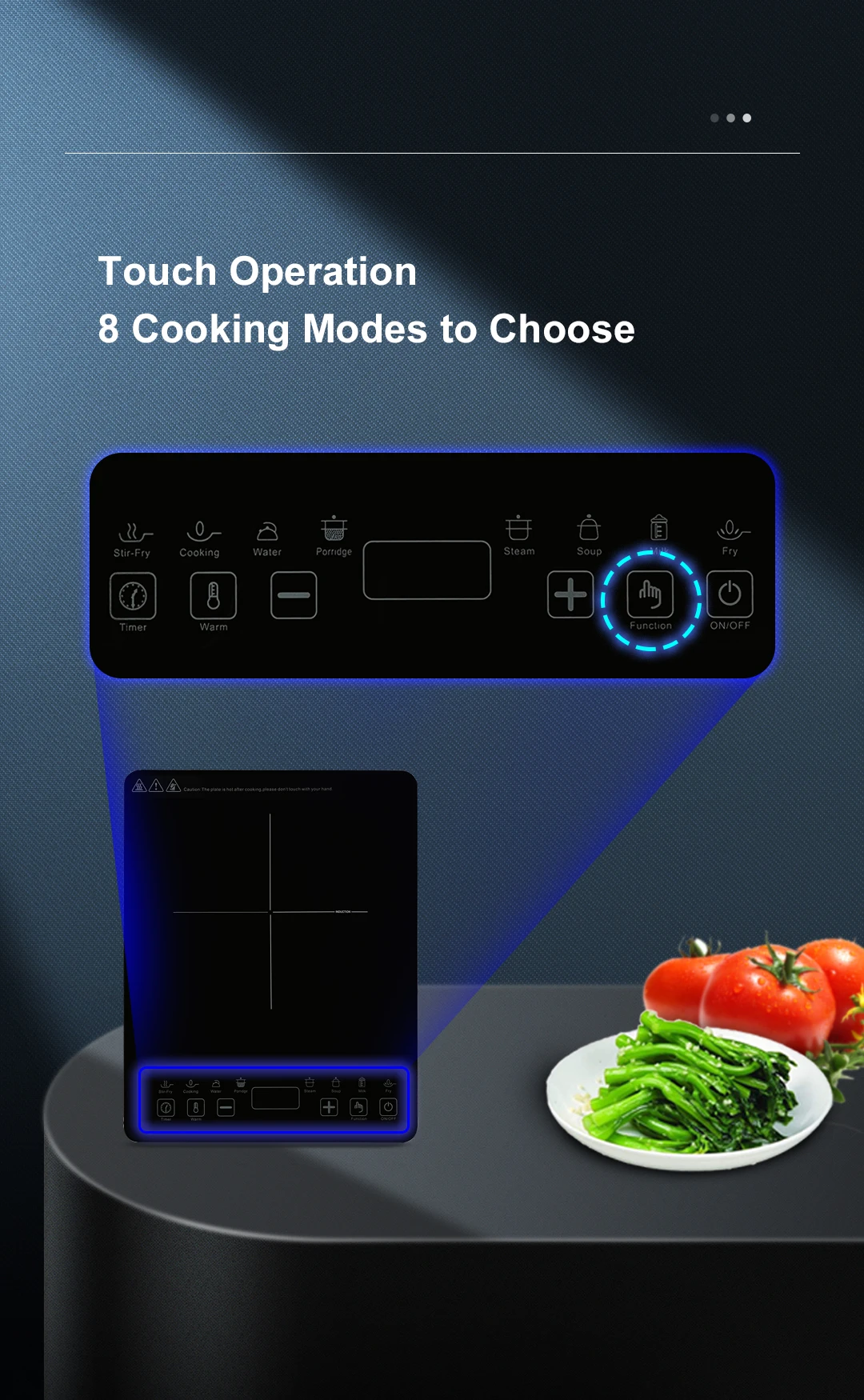 Portable Single Induction Hob Cooktop Hot Pot Touchpad Control