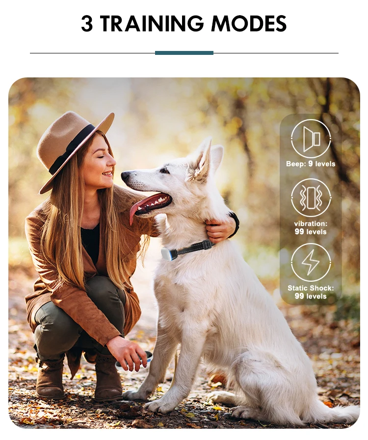 New Arrival 2600 Feets Wireless Charging Anti Bark Dog Shock Collar E