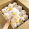 5 peluche (contattaci per il catalogo con oltre 6000 modelli)