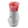Pesca rosa
