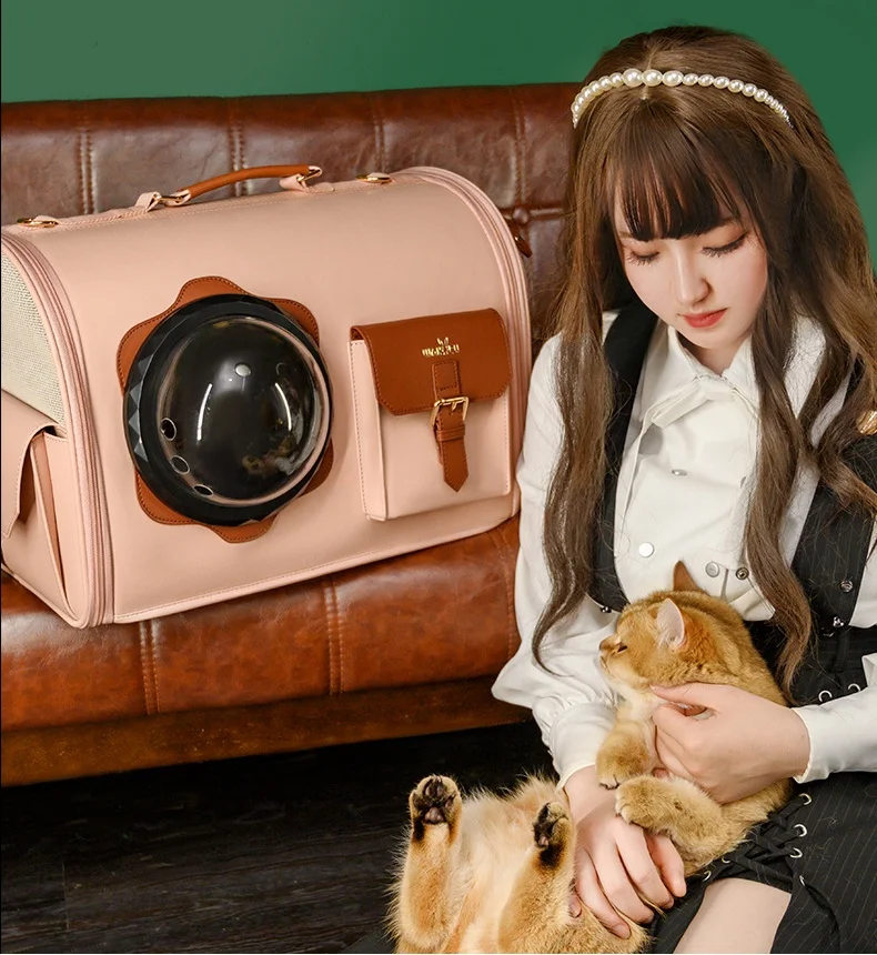 Fashionable Britishstyle Portable Largecapacity Cat Travel Bag Buy