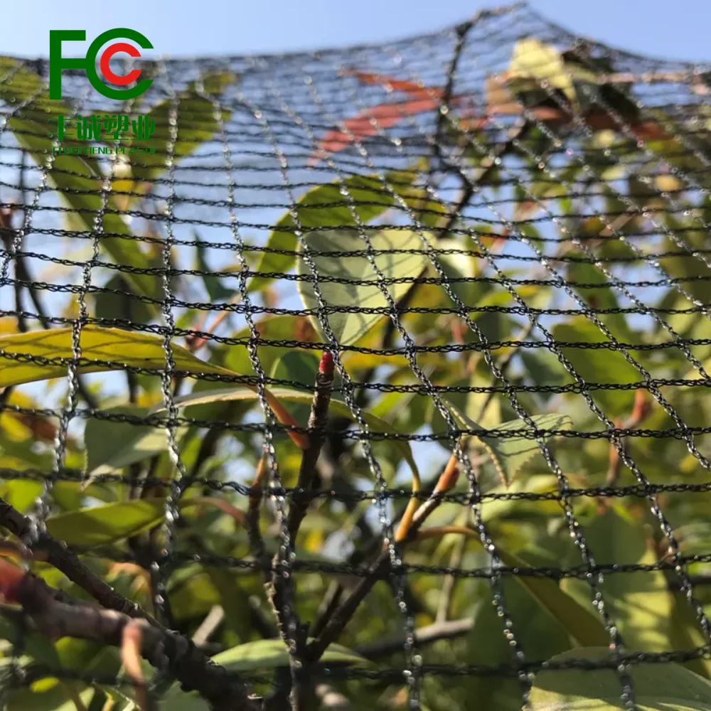 Durable PE Anti Bird Net for Hunting Birds and Chicken Nets with Chicken Netting Fence Farm Solutions