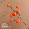 Caqui CS de 7 cabezas, naranja intenso