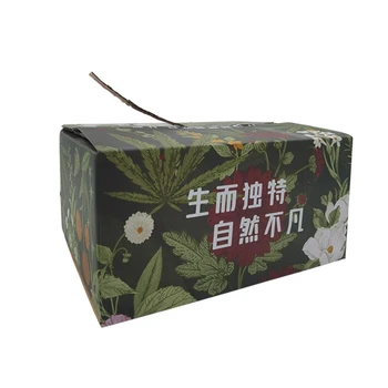 Wholesale Custom Printing Logo Cosmetic Corrugated Packaging Recycle Mailer Paper Box Airplane Shipping Boxes