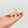 Tiburón Esqueleto