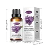 lavanda