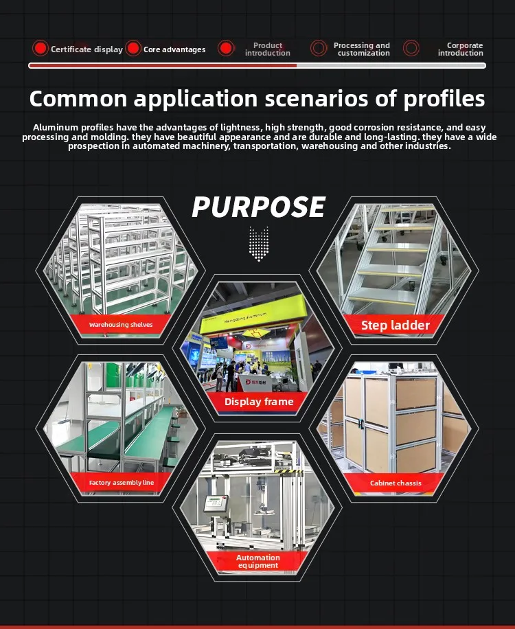 2047 European Standard DIY Furniture Custom Black Frame Square Tube Aluminum Material Wardrobe Cabinet Alloy Profile factory