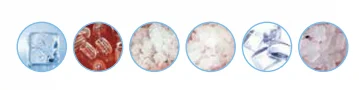 paste-pic-dp_uuid_ym54l