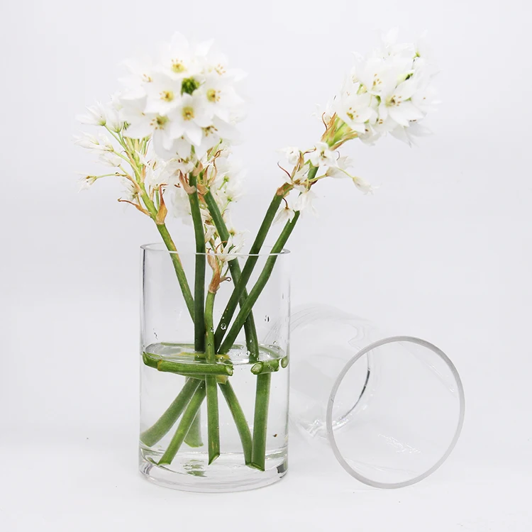 Vaso In Vetro Borosilicato Trasparente 20cm – Centrotavola Per Fiori, Matrimoni E Decorazione Casa (Soffice A Mano)