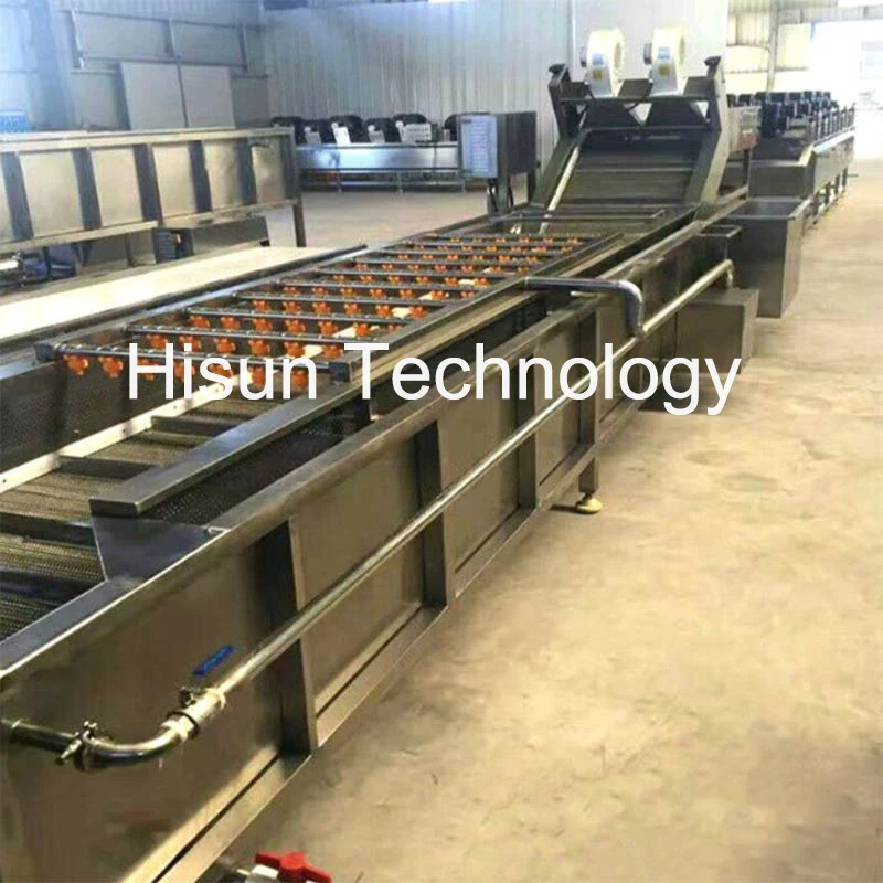 Washing Machine Vegetable Fruit Washing Machine Industrial Ozone Strawberry Apple Washing Line Drying Machine