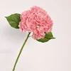 Rosa oscuro